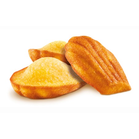 Madeleine cake